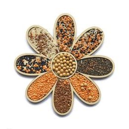 Senzorické Montessori sypání Květina - jemná motorika