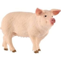 Kůň domácí Shetlandský pony zooted