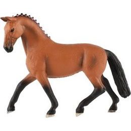 Kůň domácí Shetlandský pony zooted