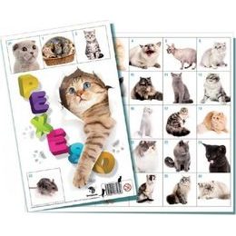 Pexeso Kočky společenská hra 32 obrázkových dvojic