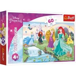 Puzzle Poznejte princezny - 60 dílků