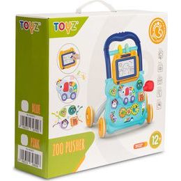 ZABAWKA EDUKACYJNA - PCHACZ MUZYCZNY RAINBOW