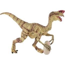 Kůň domácí Shetlandský pony zooted