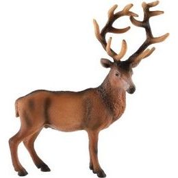 Antilopa pouštní zooted