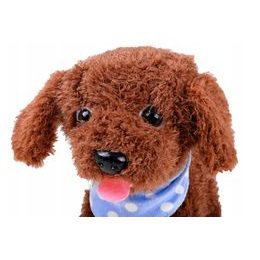 Edukační taburet PM2