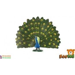 Páv korunkatý zooted