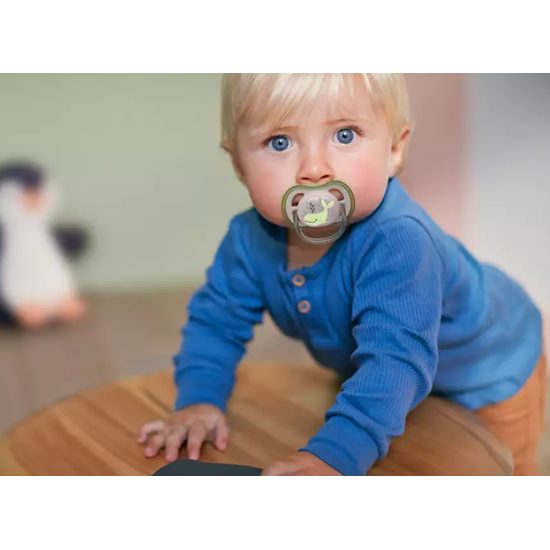 Dětský dudlík 6-18m Phillips Avent air night - Kluk 2ks