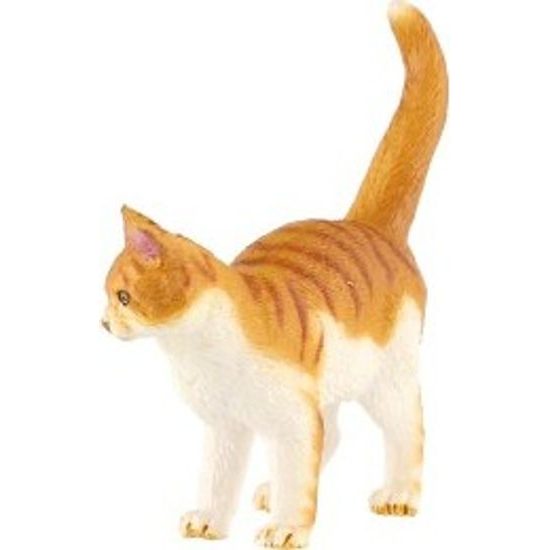 Kočka domácí zooted