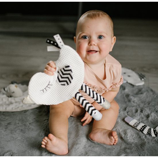 Přítulníček a šustík, Ptáček