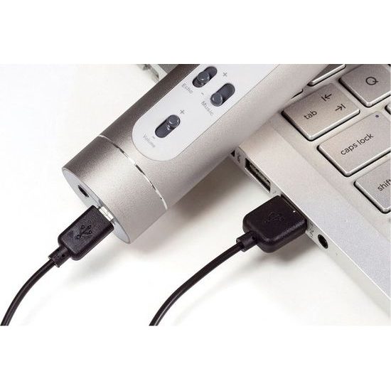 Mikrofon karaoke Bluetooth stříbrný na baterie s USB kabelem