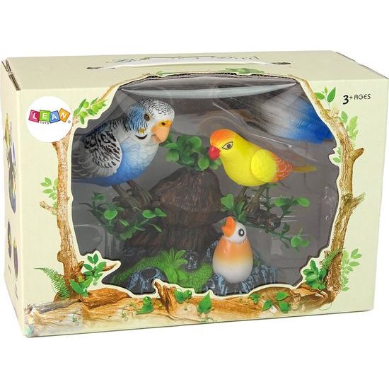 Zpívající pohybující se papoušci na stromě