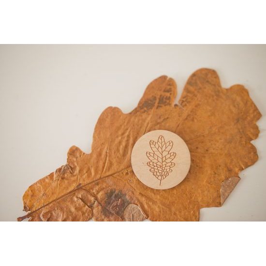 Pexeso listy a plody 3 - dřevěná paměťová sada v pytlíku (14 párů)