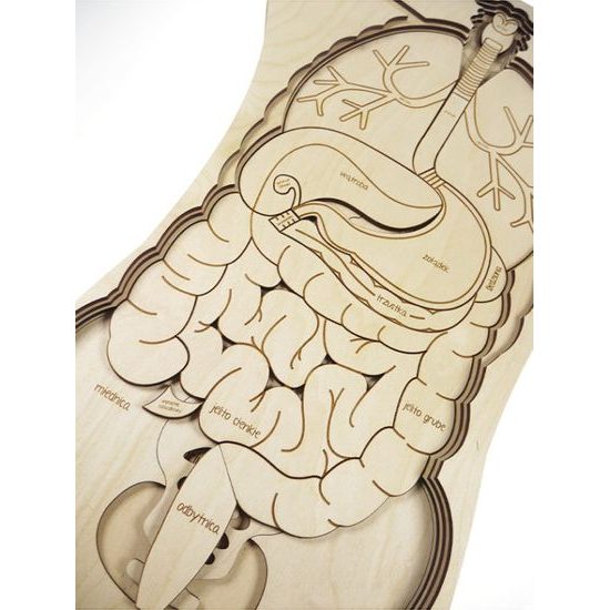 Telo - anatómia - edukatívne drevené puzzle - ČESKÁ VERZIA