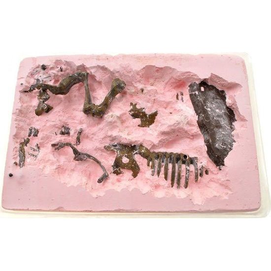 Sada 3D vykopávek kostry mamuta