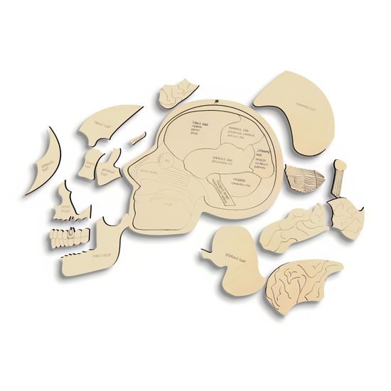 Hlava anatomie - edukativní dřevěné puzzle - SLOVENSKÁ VERZE
