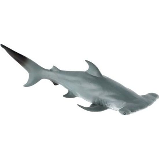 Žralok kladivoun velký zooted