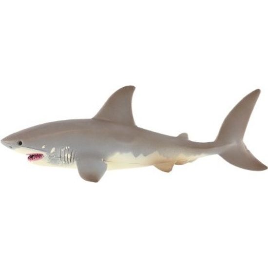 Žralok bílý zooted