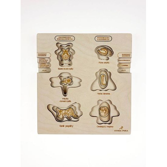 Proměna dokonalá, nedokonalá - životní cykly - set - SLOVENSKÁ VERZE