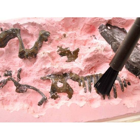 Sada 3D vykopávek kostry mamuta