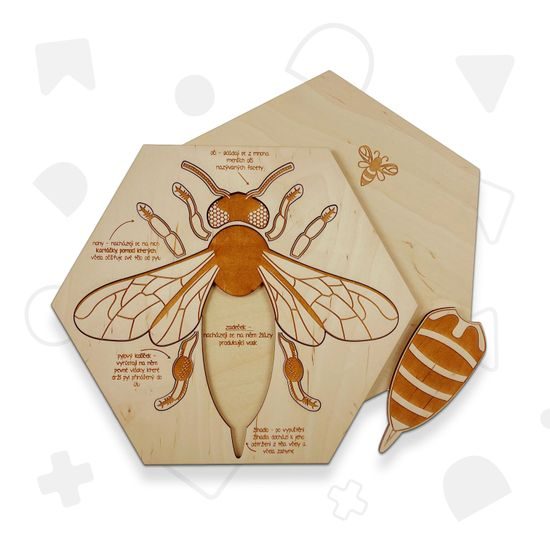 Včela edukativní puzzle - ČESKÁ VERZE