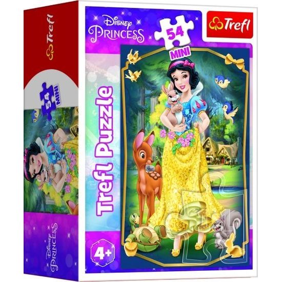 Minipuzzle Krásné princezny 54dílků - mix 4 druhy