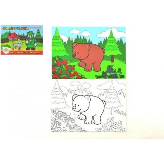 Omalovánky - Moje první lesní zvířátka 8 listů