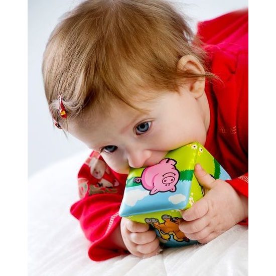 Kostka - Moje první zvířátka