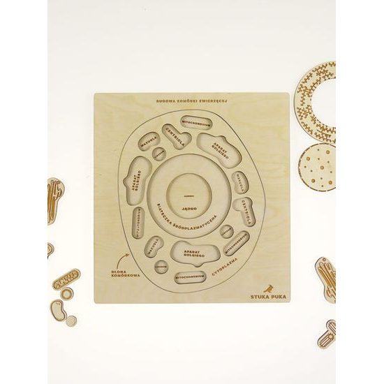 Rastlinná bunka - edukatívne puzzle - SLOVENSKÁ VERZIA