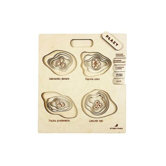 Obojživelníky - životné cyklusy - set - ČESKÁ VERZIA