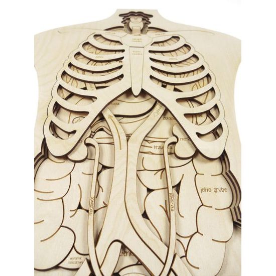 Telo - anatómia - edukatívne drevené puzzle - ČESKÁ VERZIA