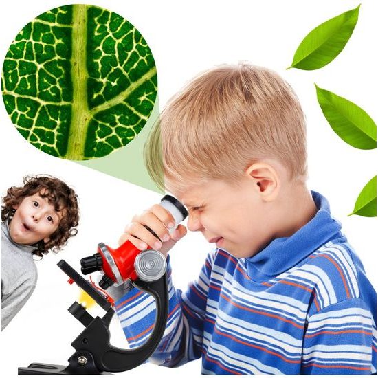 Dětský mikroskop na baterie Optic Microscope