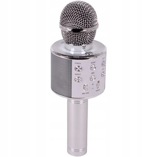 Bezdrátový karaoke mikrofon Hifi Speaker stříbrný