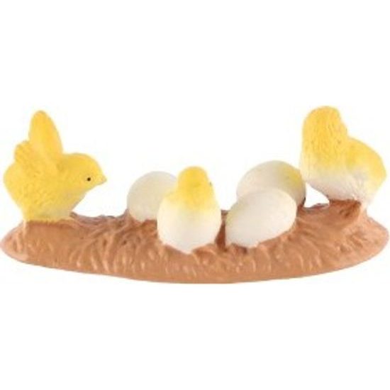 Kuřátka kura domácího zooted