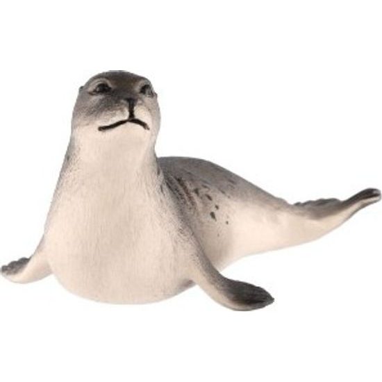 Tuleň obecný zooted