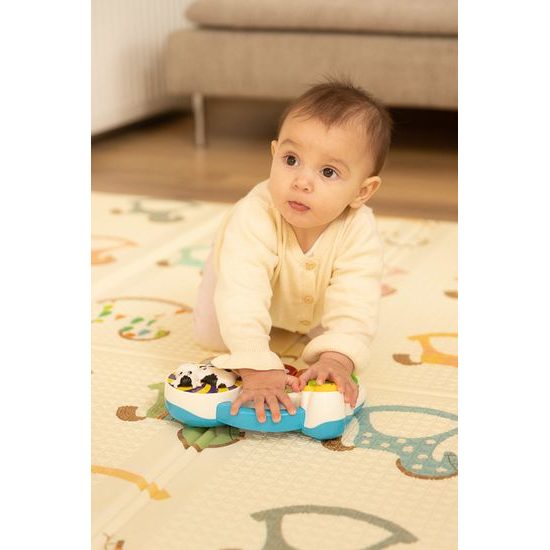 Vzdělávací klavír farma