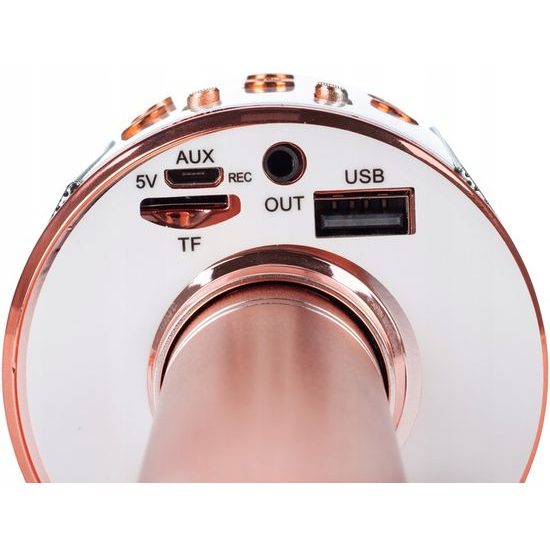 Bezdrátový karaoke mikrofon Hifi Speaker Rose Gold