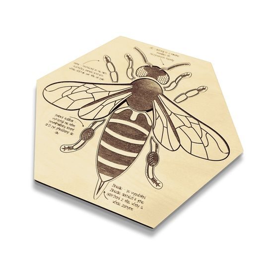 Včela edukativní puzzle - ČESKÁ VERZE