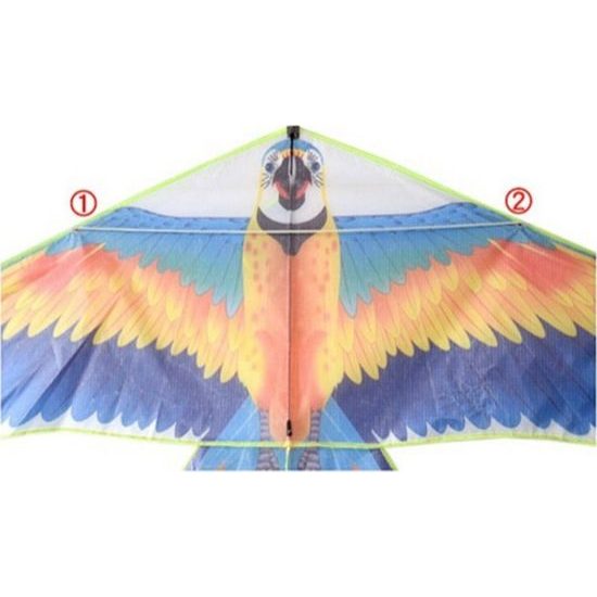 Mega velký drak - barevný pták s dlouhým ocasem