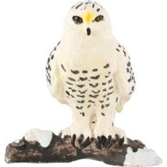 Sovice sněžní zooted