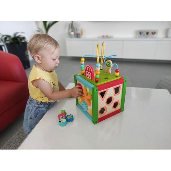 Ecotoys dřevěná edukační kostka s labyrintem 5v1