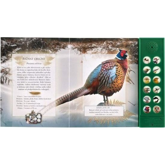 Zvuková knížka Ptáci našich lesů