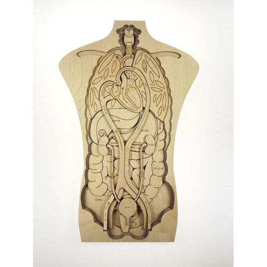 Telo - anatómia - edukatívne drevené puzzle - ČESKÁ VERZIA