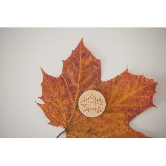 Pexeso listy a plody 3 - dřevěná paměťová sada v pytlíku (14 párů)