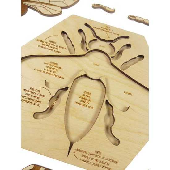 Včela edukativní puzzle - ČESKÁ VERZE