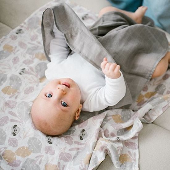 Mušelínové pleny, 3ks, Lenochod, šedé