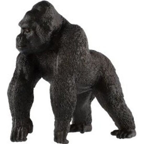 Gorila horská zooted