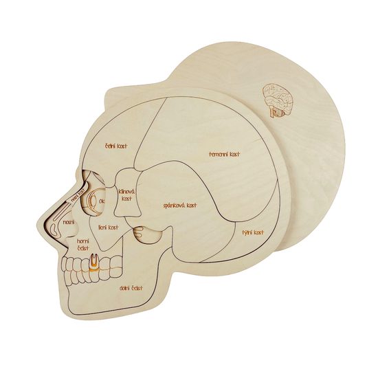 Hlava anatomie - edukativní dřevěné puzzle - SLOVENSKÁ VERZE