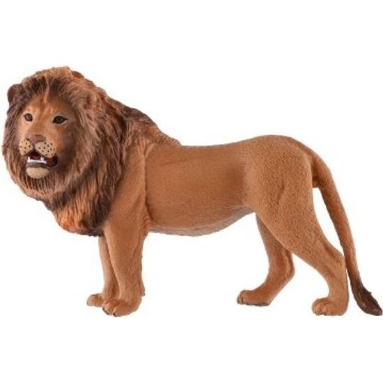 Lev berberský zooted