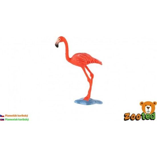 Plameňák karibský zooted