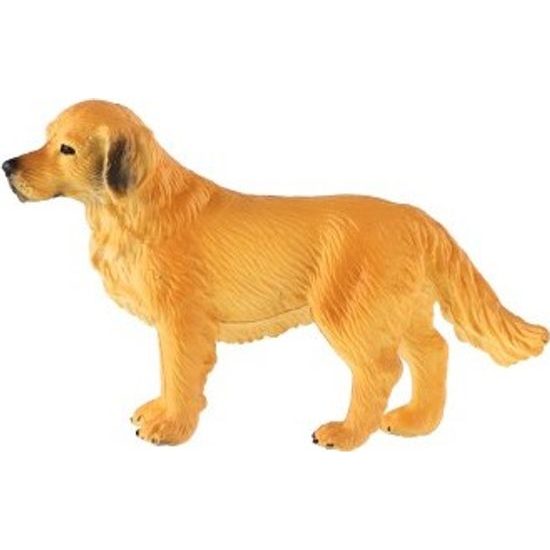 Retrívr zlatý - pes domácí zooted